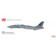 Grumman F-14B Tomcat / USN VF-143 Pukin Dogs, AG100, USS John F Kennedy, Op. Enduring Freedom 2002 / Hobby Master 1:72 HA5243