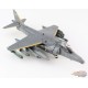 BAe Harrier GR.Mk 7 - RAF No.1 Sqn, ZD437 Michelle, Afghanistan, 2007 / Hobby Master 1:72 HA2650
