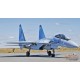 Sukhoi Su-35S Flanker E / Russian Air Force 116th CATC Aggressors, avec armes, Russie Sept. 2022 - Hobby Master 1/72 HA5713B