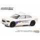 2014 Dodge Charger - Kennedy Space Center (KSC) Security Patrol - Hobby Exclusive -1/64 Greenlight - 30286  - Passion Diecast 