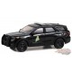 Anniversary Collection Series 15 - Assortiment - 1/64 Greenlight - 28120 - Passion Diecast