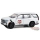 Anniversary Collection Series 15 - Assortiment - 1/64 Greenlight - 28120 - Passion Diecast