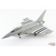 Eurofighter Typhoon - RAF No.29(R) Sqn, ZK308, RAF Coningsby, UK D-Day 70 ans 2014 / Hobby Master 1:72 HA6620