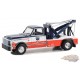 Dually Drivers Series 13 - Assortment - 1/64 Greenlight - 46130 Passion Diecast