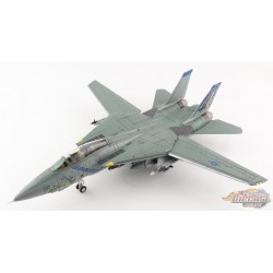 Grumman F-14B Tomcat / USN VF-143 Pukin Dogs, AG100, USS John F Kennedy, Op. Enduring Freedom 2002 / Hobby Master 1:72 HA5243