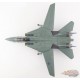 Grumman F-14B Tomcat / USN VF-143 Pukin Dogs, AG100, USS John F Kennedy, Op. Enduring Freedom 2002 / Hobby Master 1:72 HA5243