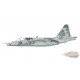 Sukhoi Su-25M1 Frogfoot / Ukrainian Air Force 299th BrTA, Blue 19, Ukraine, February 2022 / Hobby Master 1:72 HA6110