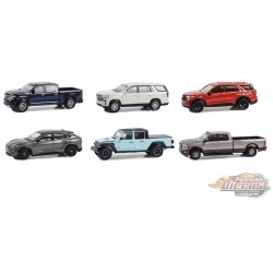 Showroom Floor Series 4 - Assortiment - 1/64 Greenlight - 68040 - Passion Diecast