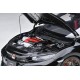Honda Civic Type R (FK8) 2021 (Crystal Black Pearl) - Autoart - 73222 Passion Diecast