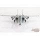 Grumman F-14D Tomcat / USN VF-31 Tomcatters, AJ102, Tomcat Sunset 2006 / Hobby Master 1:72 HA5245