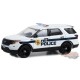 Édition spéciale Hot Pursuit - Police du FBI - Assortiment - 1/64 Greenlight - 43025 - Passion Diecast