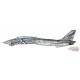 Grumman F-14D Tomcat  USN VF-2 Bounty Hunters , Operation Iraqi Freedom 2002 - JC Wings  1:72  JCW-72-F14-009