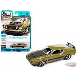 1973 Ford Mustang Mach 1 - Poly vert or brillant - Auto World - 1/64 - AWSP144 A Passion Diecast