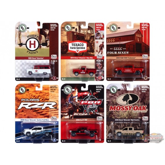 Big Country Collectibles - 2023 Release 1 - Assortment - Auto World - 1:64  - AWBC001 - Passion Diecast