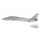 Grumman F-14B Tomcat / USN VF-32 Swordsmen, AC101, NAS Oceana, VA, Last Gypsy Roll 2005 / Hobby Master 1:72 HA5254