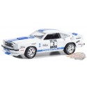 Stampede Car No.2 - 1976 Ford Mustang II Cobra II - The Drive Home to the Mustang Stampede Series 1 - 1/64 Greenlight - 13340 B