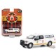 Aviation Division - Chicago, Illinois - 2016 Ford F-150 - Fire & Rescue Series 4 -1/64 Greenlight - 67050 E Passion Diecast 