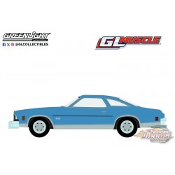 1973 Chevrolet Chevelle SS 454 Light Blue Matallic & Silver ...