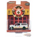 (Green Machine) Aviation Division - Chicago, Illinois - 2016 Ford F-150 - Fire & Rescue Series 4 -1/64 Greenlight - 67050 EGR