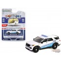 (Web Only ) (CPD) Ford Police Interceptor Utility 2019 Chicago Police - Hot Pursuit Series 45 - 1/64 Greenlight - 43030 D