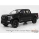 (Preorder) FORD SHELBY F-150 CENTENNIAL EDITION BLACK 2024 Limited Edition - 1/18 - GT SPIRIT - GT919