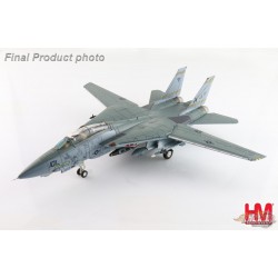 Grumman F-14B Tomcat / USN VF-32 Swordsmen, AC101, NAS Oceana, VA, Last Gypsy Roll 2005 / Hobby Master 1:72 HA5254