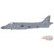 BAe Sea Harrier FA.Mk 2 / RNFAA, ZH796, 2002, + Sea Eagle Missiles / Hobby Master 1:72 HA4107