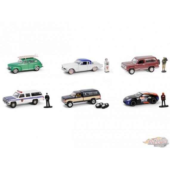 The Hobby Shop Series 16 - Assortment - 1/64 Greenlight - 97160 Passion Diecast