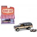 (Web Only) Ford F-150 XLT Lariat 1991 - The Hobby Shop Series 16 - 1/64 Greenlight - 97160 E
