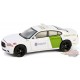 U.S. Customs and Border Protection Border Patrol - Hot Pursuit - Assortment - 1/64 Greenlight - 43035 Passion Diecast
