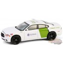 US Border Patrol - 2014 Dodge Charger - Hot Pursuit Series Special Edition - 1/64 Greenlight - 43035 D