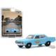 1971 AMC Matador - Tri-Counties Bonding Company   -   greenlight 1/64   Hobby Exclusif - 30153 -  Passion Diecast 