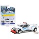 2019 Ford F-350 Dually - (NYPD) Class 3 Hazmat with Snow Plow - greenlight 1/64  Hobby Exclusive - 30216 - Passion Diecast 