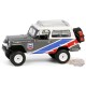 Chevron Special Edition Series 1 - Assortiment - 1/64 Greenlight - 41175 - Passion Diecast
