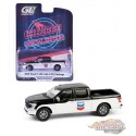 (Preorder) Chevron - 2019 Ford F-150 XL with STX - Chevron Special Edition Series 1 - 1/64 Greenlight - 41175 F