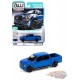 2020 Ford F-150 Truck - Auto World - 1/64 - AW64502B D