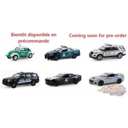 Hot Pursuit Series 47 - Assortiment - 1/64 Greenlight - 43050 - Passion Diecast