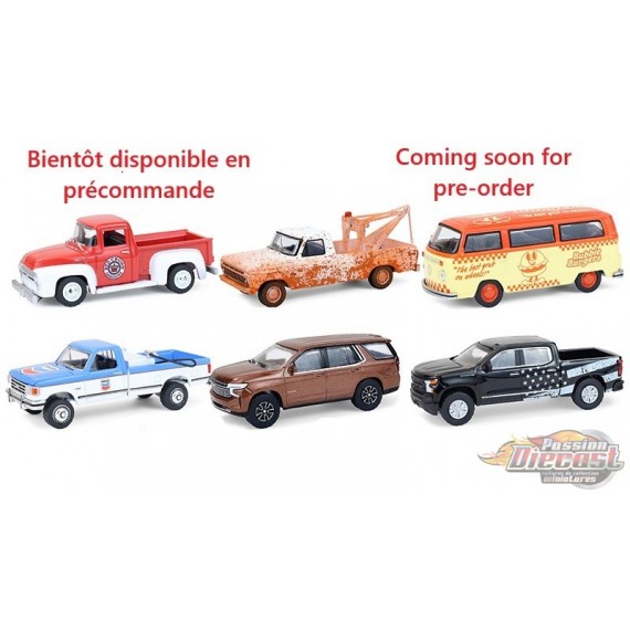 Blue Collar Collection Series 14 - Assortiment - 1/64 Greenlight - 35300 - Passion Diecast