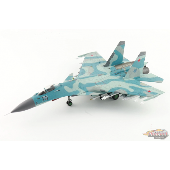 Sukhoi Su-27K Flanker-D / Russian Air Force, Blue 79, 1995, +  Kh-41 Moskit Missile / Hobby Master 1:72  HA6051