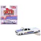 1975 Chevrolet Cheyenne Super 30 Dually Blanc C10s In The Park - MiJo Exclusives - M2 Machine - 1:64 - 39000-MJS08