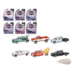 Dually Drivers Series 16 - Assortment - 1/64 Greenlight - 46160 Passion Diecast
