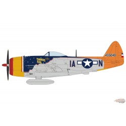 (Preorder) Republic P-47D Thunderbolt / USAAF 358th FG, 366th FG, Ike Davis, Allemagne mai 1945 / Hobby Master 1:48 HA8414