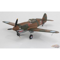 Curtiss P-40B Warhawk / AVG Flying Tigers 3rd PS, Birmanie, novembre 1941 / Hobby Master 1:48 HA9207