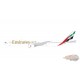 Emirates Boeing 777-300ER / A6-EQH / Gemini Jets / 1:200 / G2UAE1441