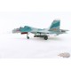 Sukhoi Su-30MK2V Flanker-G / VPAF 923rd Yeh The Fighter Rgt, Red 8534, Vietnam, 2007 / Hobby Master 1:72 HA9555