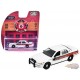 Fire Rescue Series 5 - Assortment - 1/64 Greenlight - 67070 Passion Diecast