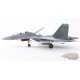 Shenyang J-16 Flanker-N Hidden Dragon / PLAAF No.78731 / HM 1:72  HA9560