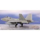 (Web only) Lockheed F-22A Raptor / USAF 1st FW, 94th FS Hat in the Ring, No. 03-4061, Langley AFB, VA / AFV 1:72 24222-05