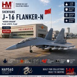 Shenyang J-16 Flanker-N Hidden Dragon / PLAAF No.78731 / HM 1:72  HA9560