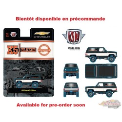 1973 Chevrolet K5 Blazer Special Edition - Hobby Exclusive - M2 Machine - 1:64 - 31500-HS95 Passion Diecast